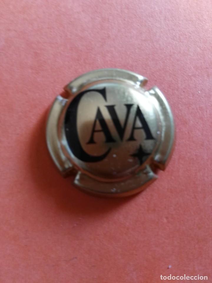 Coleccionismo de cava: PLACA DE CAVA GEN&Eacute;RICA - Foto 1