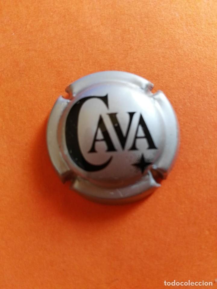 Coleccionismo de cava: PLACA DE CAVA GEN&Eacute;RICA - Foto 1