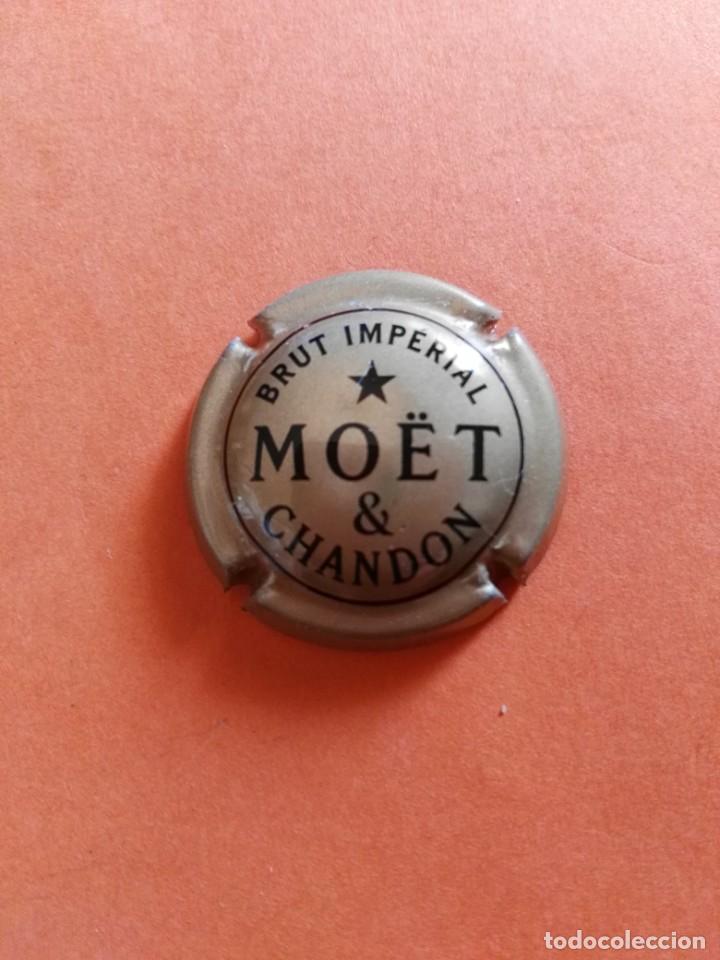 Coleccionismo de cava: PLACA DE CAVA MOET & CHANDON - Foto 1