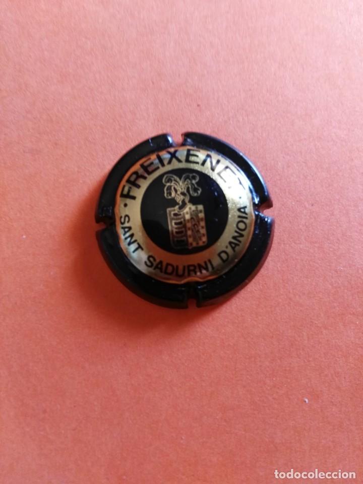 Coleccionismo de cava: PLACA DE CAVA FREIXENET - Foto 1