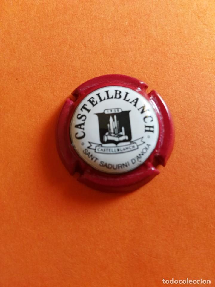 Coleccionismo de cava: PLACA DE CAVA CASTELLBLANCH - Foto 1