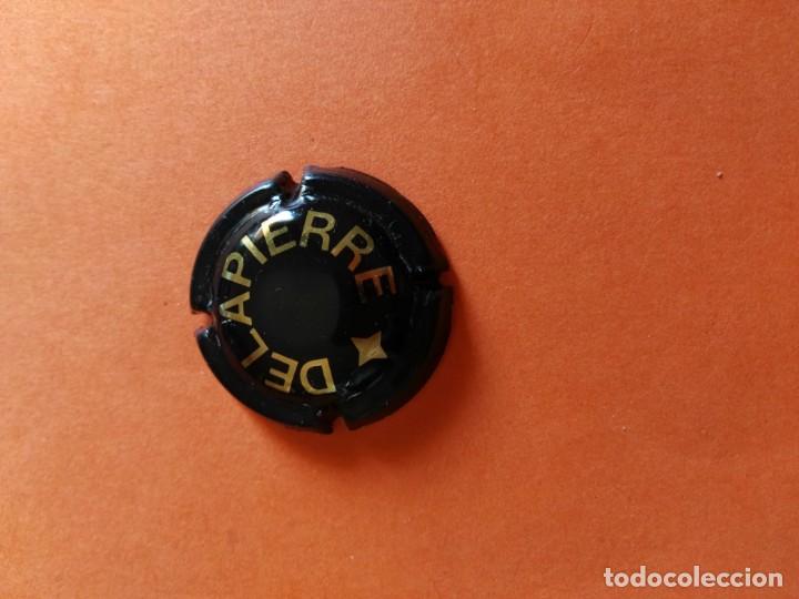 Coleccionismo de cava: PLACA DE CAVA DELAPIERRE - Foto 1
