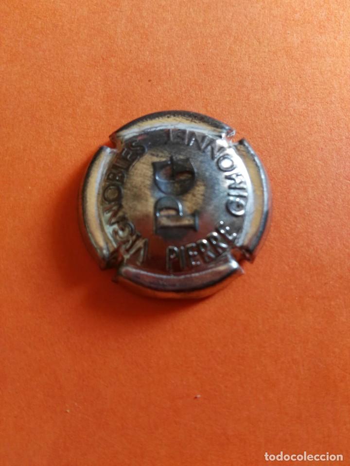 Coleccionismo de cava: PLACA DE CAVA PIERRE GIMONNET - Foto 1