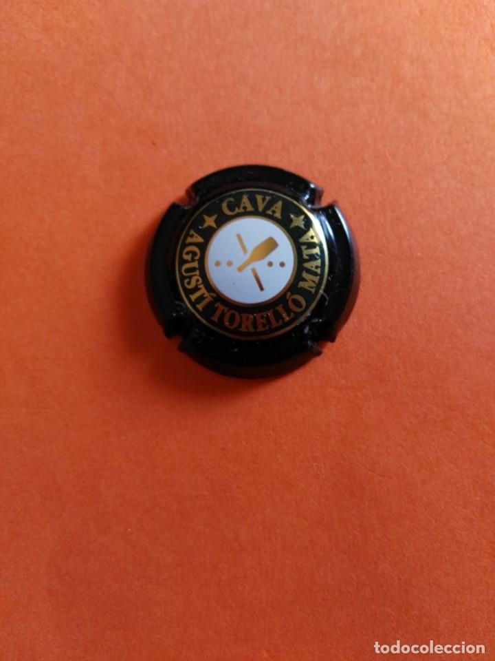 Coleccionismo de cava: PLACA DE CAVA AGUSTI TORELLO MATA - Foto 1