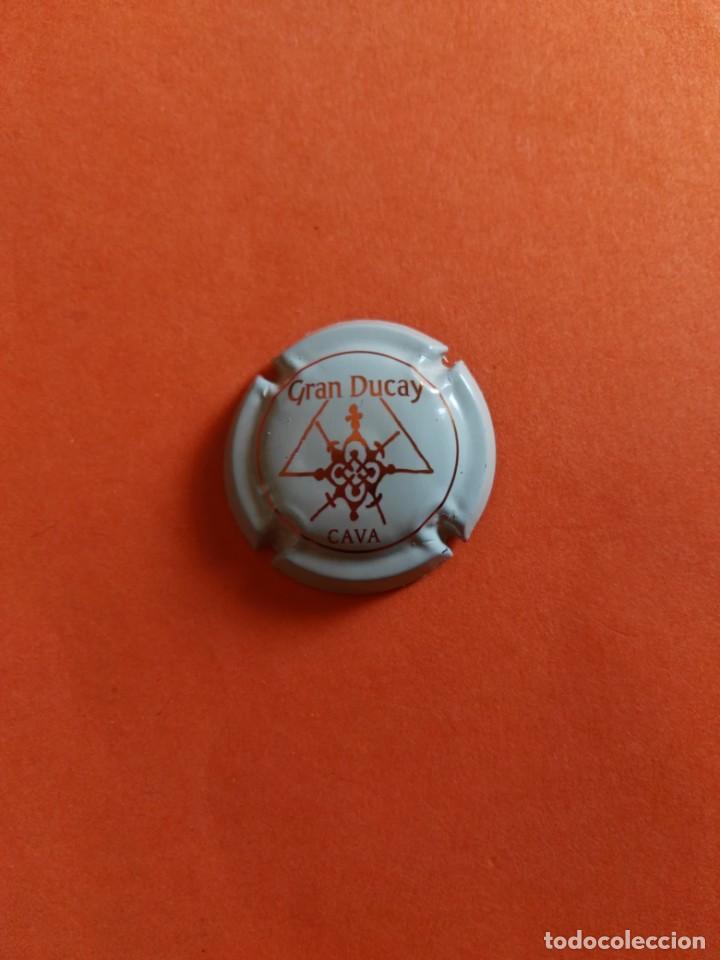 Coleccionismo de cava: PLACA DE CAVA GRAN DUCAY - Foto 1