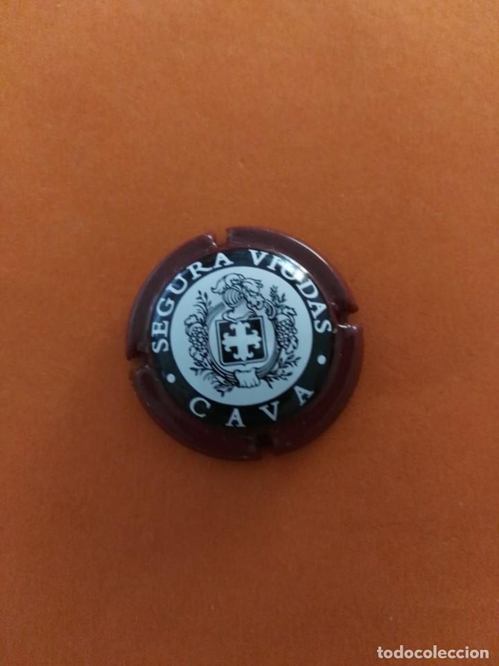 Coleccionismo de cava: PLACA DE CAVA SEGURA VIUDAS - Foto 1