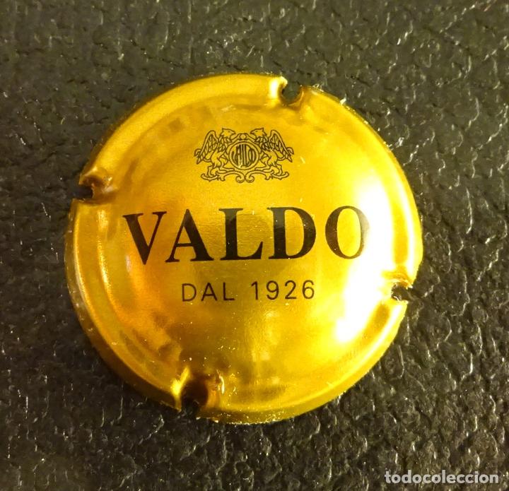 Coleccionismo de cava: PLACA CAVA VALDO DAL 1926 - Foto 1