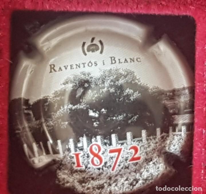 Coleccionismo de cava: placa de cava - Foto 1