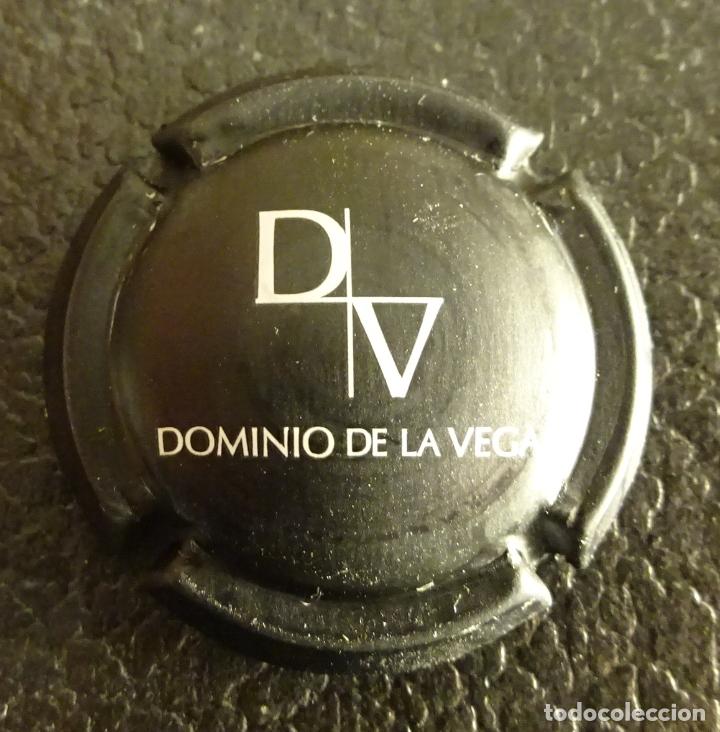 Coleccionismo de cava: PLACA DE CAVA DOMINIO DE LA VEGA - Foto 1