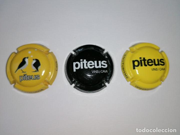 Coleccionismo de cava: 3 Placas Piteus - Foto 1