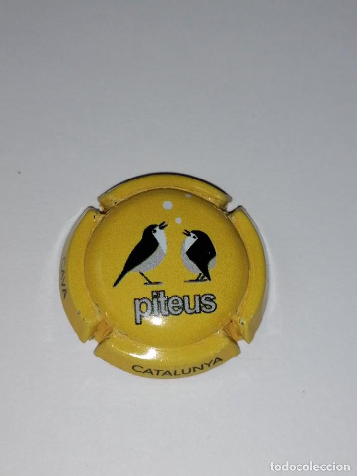 Coleccionismo de cava: 3 Placas Piteus - Foto 2