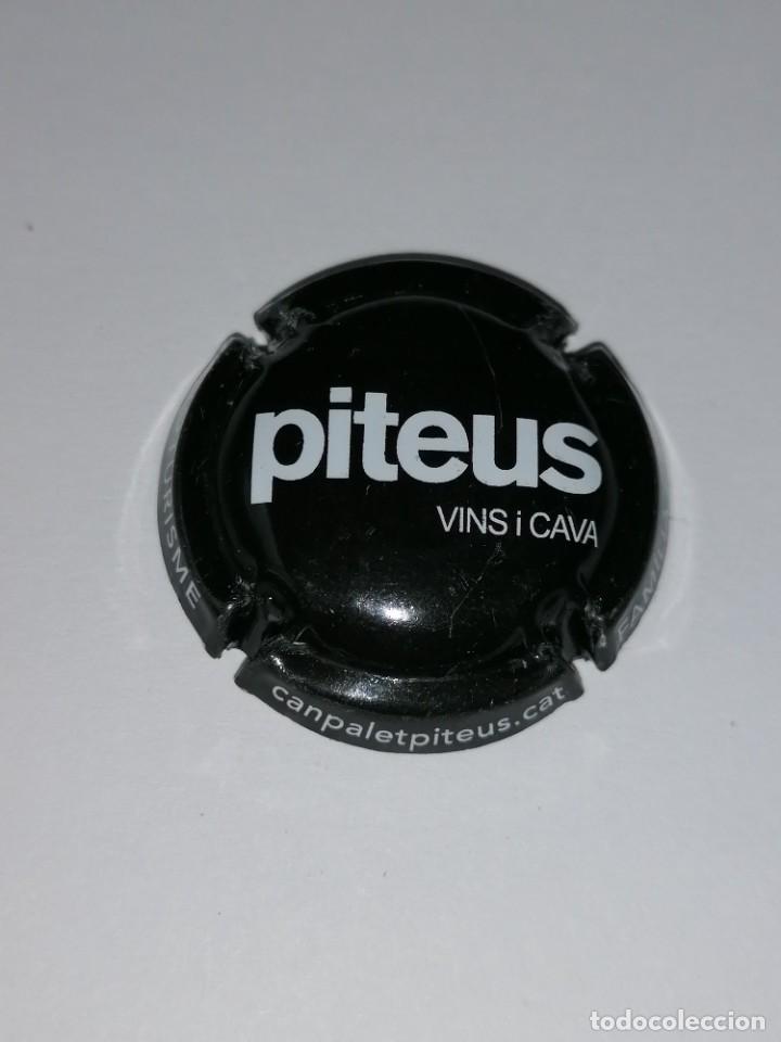 Coleccionismo de cava: 3 Placas Piteus - Foto 3