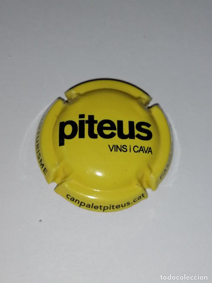 Coleccionismo de cava: 3 Placas Piteus - Foto 4
