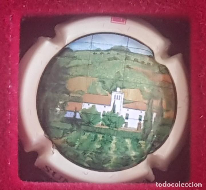 Coleccionismo de cava: Placa de Cava - Foto 1