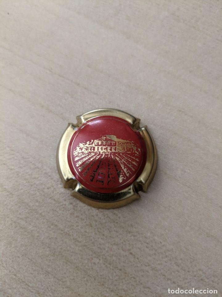 Coleccionismo de cava: CHAPA CAVA - Foto 1