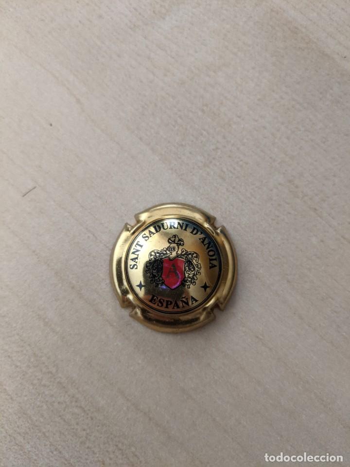 Coleccionismo de cava: CHAPA CAVA SANT SADURN&Iacute; DANOIA - Foto 1