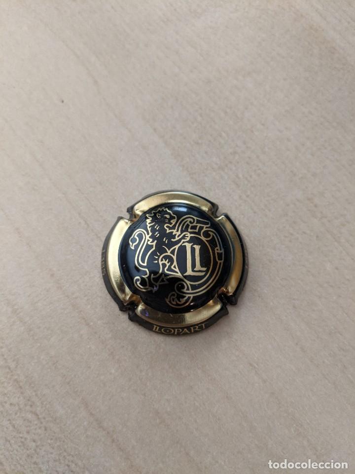 Coleccionismo de cava: CHAPA CAVA LLOPARD 1385 - Foto 1