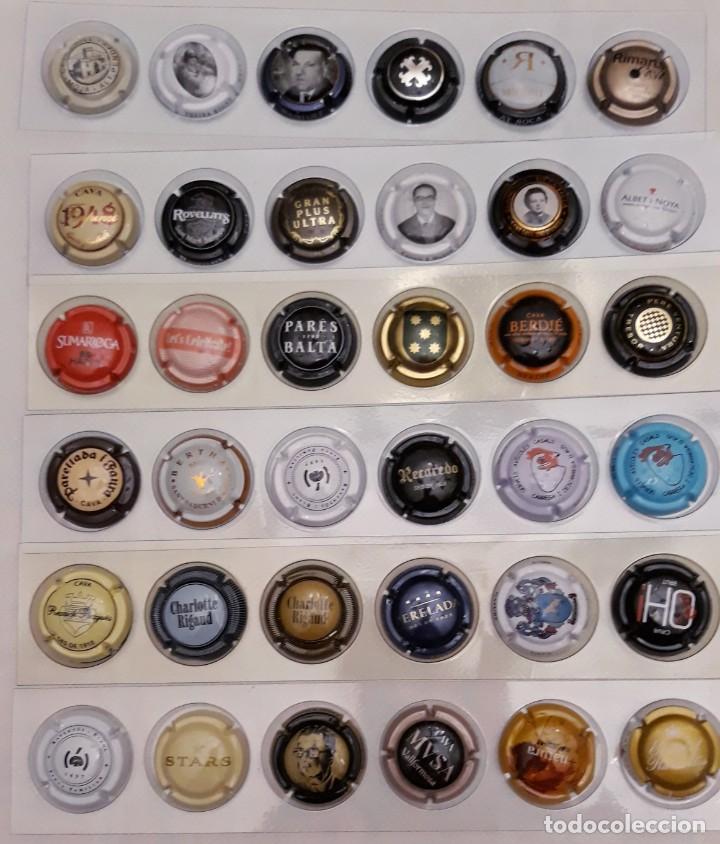Coleccionismo de cava: PLACAS DE CAVA - Foto 1