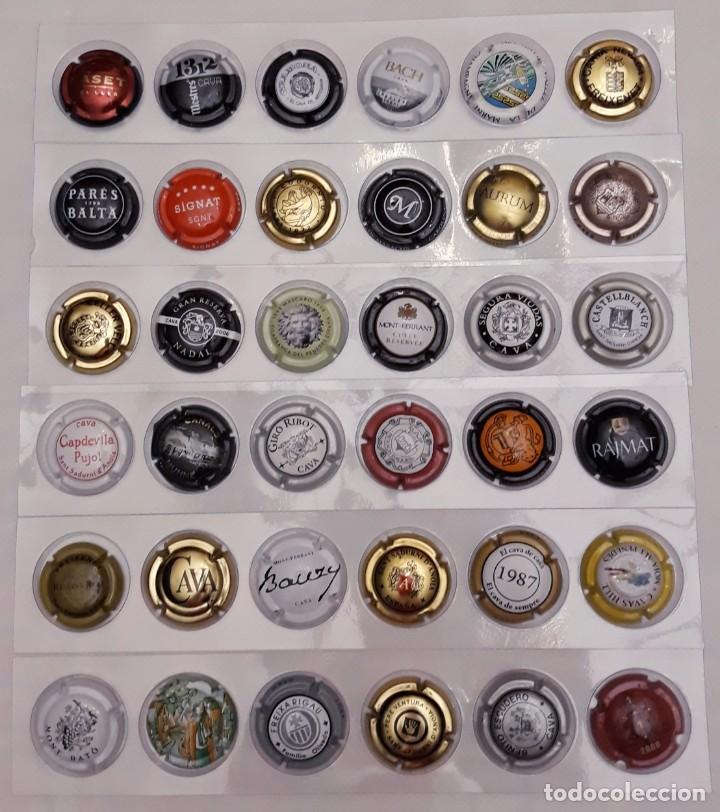 Coleccionismo de cava: PLACAS DE CAVA - Foto 2