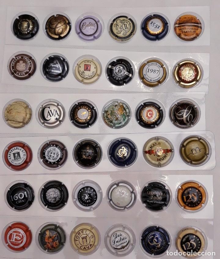 Coleccionismo de cava: PLACAS DE CAVA - Foto 3