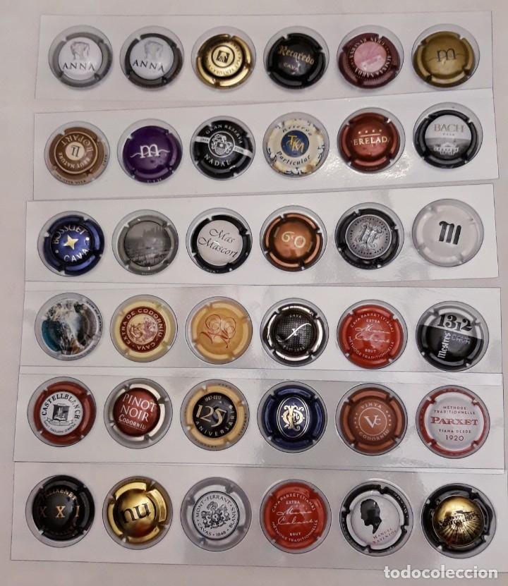 Coleccionismo de cava: PLACAS DE CAVA - Foto 4