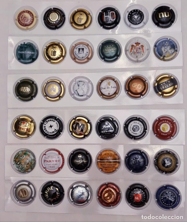 Coleccionismo de cava: PLACAS DE CAVA - Foto 5