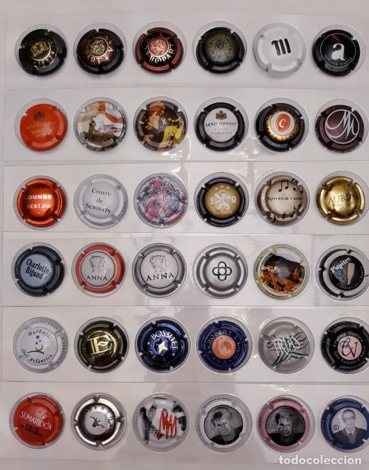 Coleccionismo de cava: PLACAS DE CAVA - Foto 6