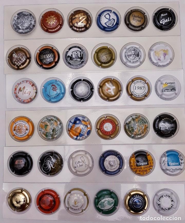 Coleccionismo de cava: PLACAS DE CAVA - Foto 7