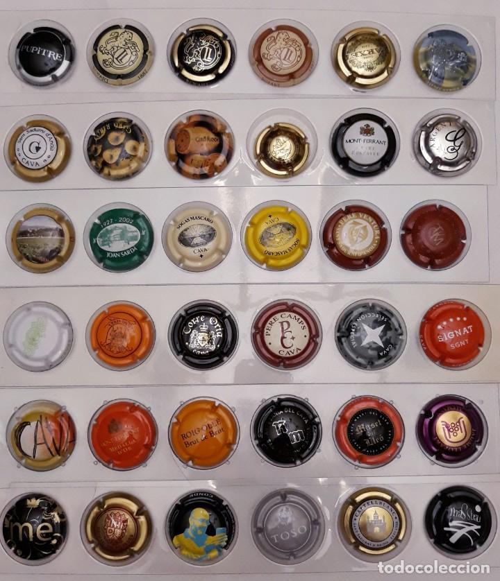 Coleccionismo de cava: PLACAS DE CAVA - Foto 8