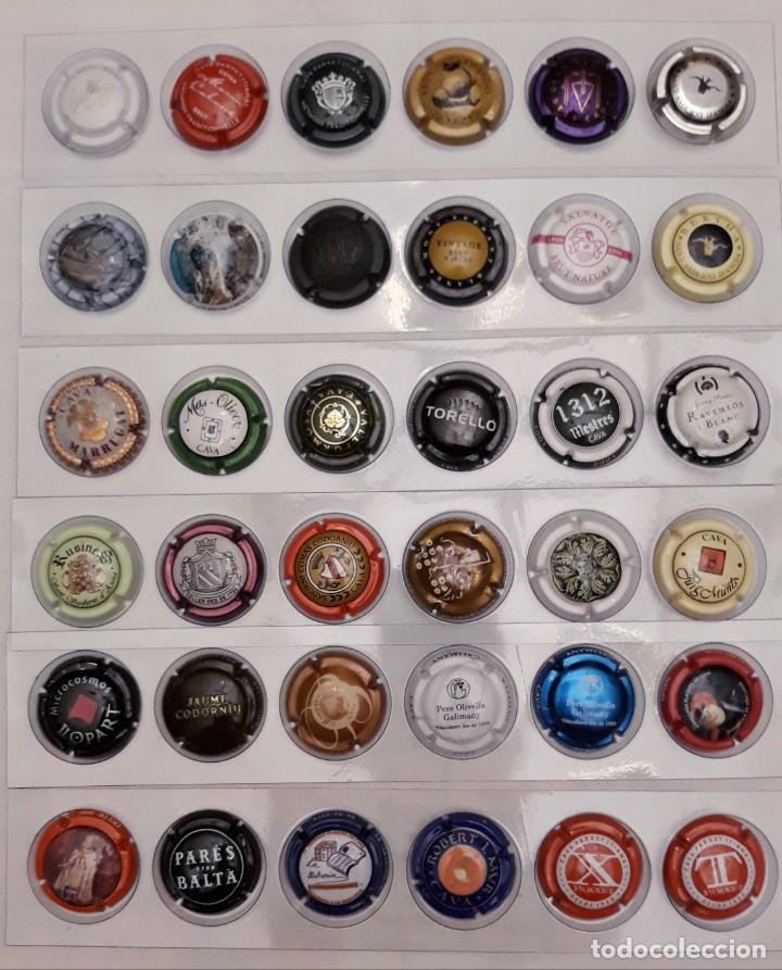 Coleccionismo de cava: PLACAS DE CAVA - Foto 9