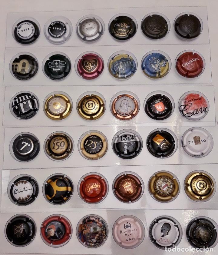 Coleccionismo de cava: PLACAS DE CAVA - Foto 13