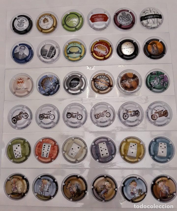 Coleccionismo de cava: PLACAS DE CAVA - Foto 15