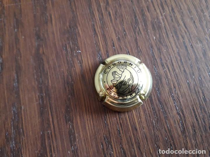Coleccionismo de cava: placa chapa de cava, Codorniu. - Foto 1