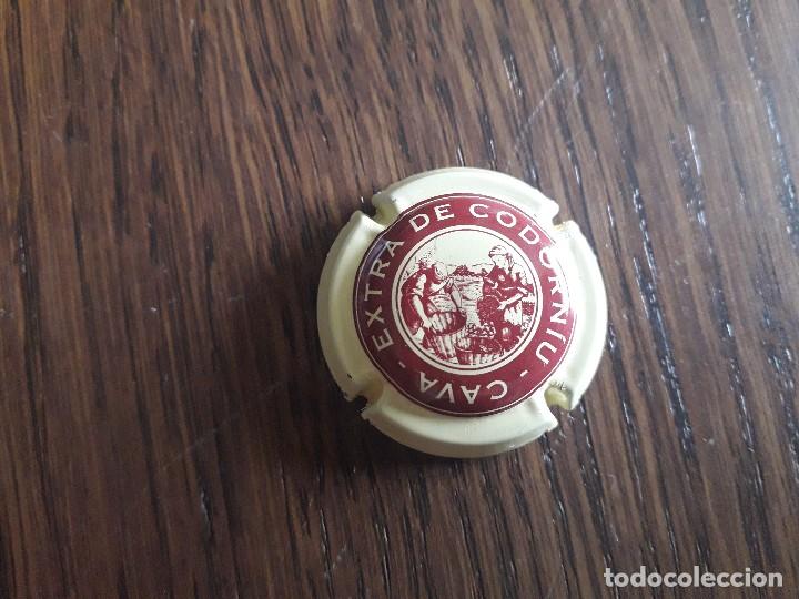 Coleccionismo de cava: placa chapa de cava, extra de Codorniu. - Foto 1