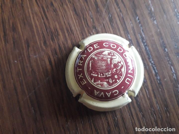 Coleccionismo de cava: placa chapa de cava, extra de Codorniu. - Foto 1