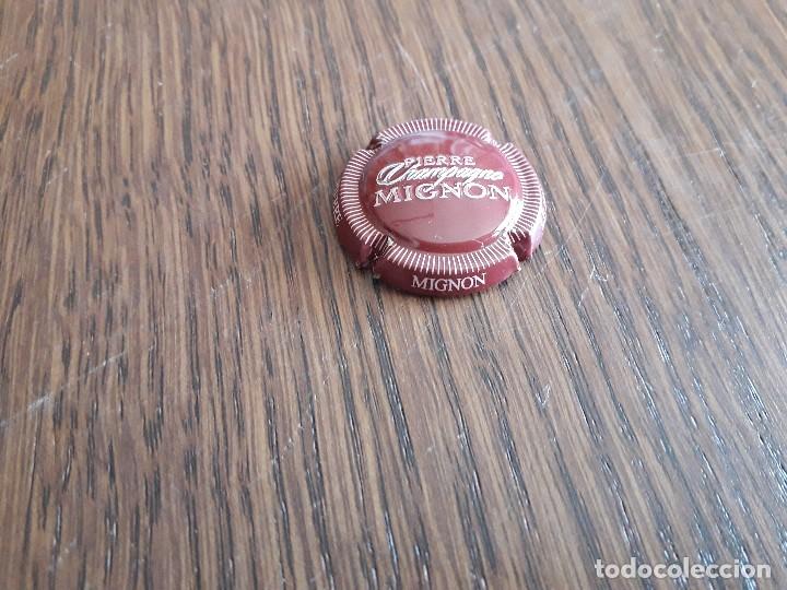 Coleccionismo de cava: placa chapa de champagne, Pierre Mignon. - Foto 1