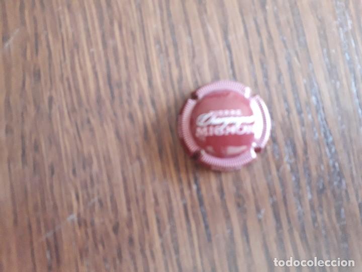 Coleccionismo de cava: placa chapa de champagne, Pierre Mignon. - Foto 3