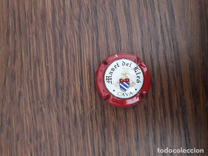 Coleccionismo de cava: placa chapa de cava, Maset del Lle&oacute;. - Foto 1
