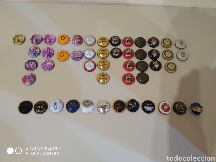 Coleccionismo de cava: Lote de 48 chapas de cava - Foto 1