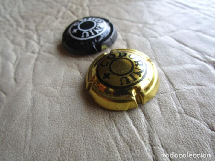 Coleccionismo de cava: lote chapa placa de cava codorniu chapas - Foto 2
