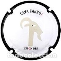 Coleccionismo de cava: PLACA CHAPA CAVA - Emendis ++ee - Foto 1