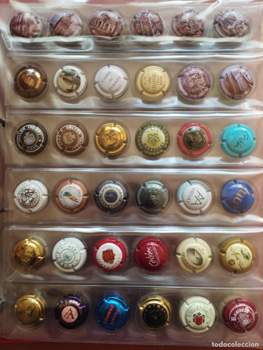 Coleccionismo de cava: Alb&uacute;m 252 Chapas Cava diferentes - Foto 2