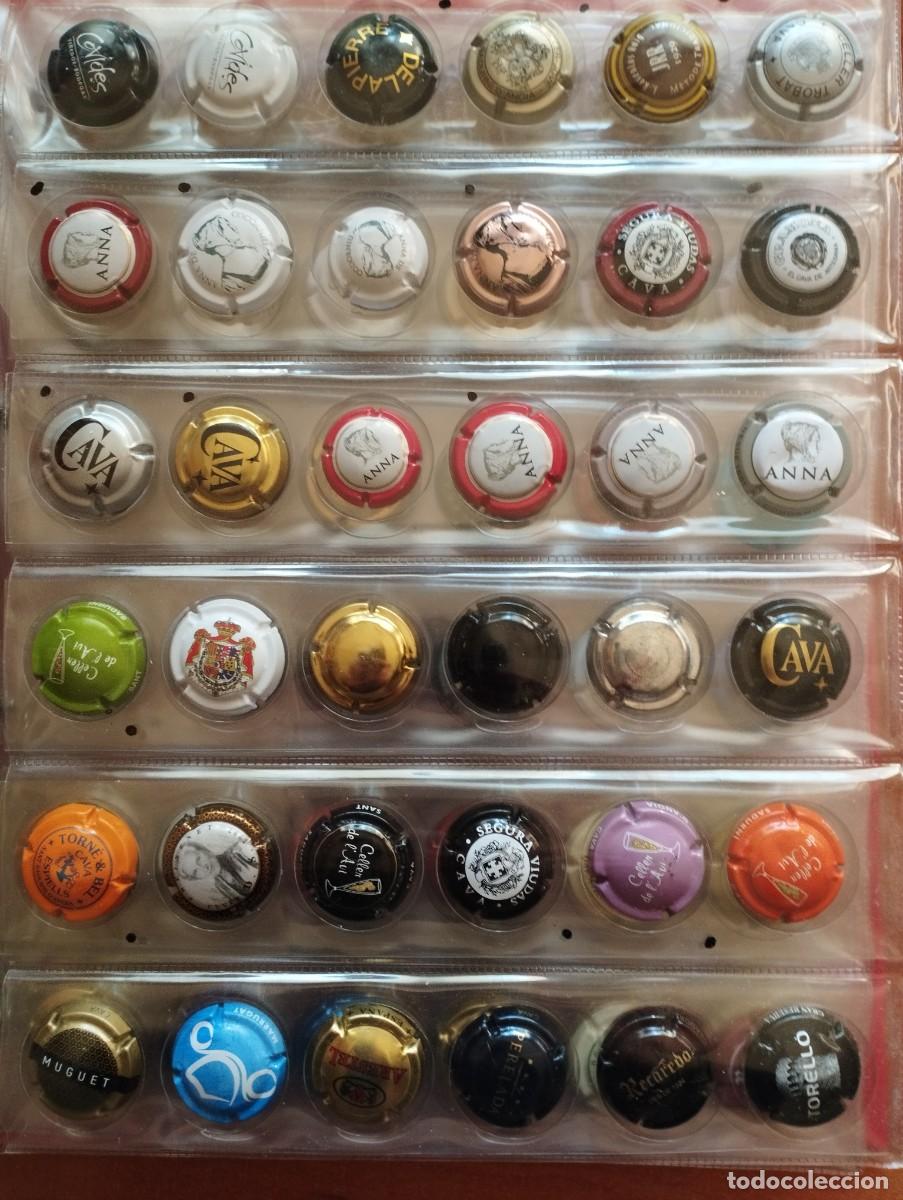 Coleccionismo de cava: Alb&uacute;m 252 Chapas Cava diferentes - Foto 3