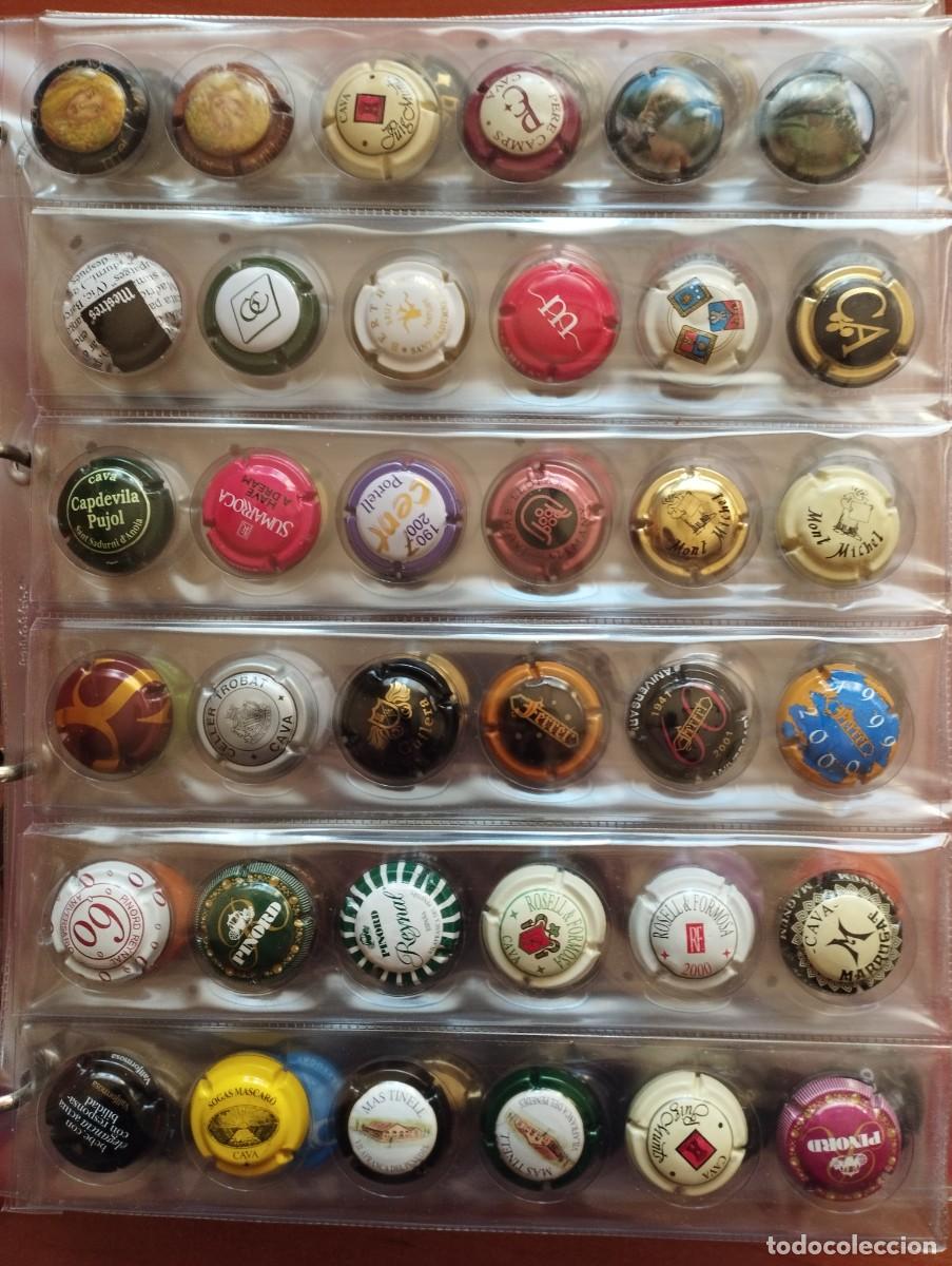 Coleccionismo de cava: Alb&uacute;m 252 Chapas Cava diferentes - Foto 4