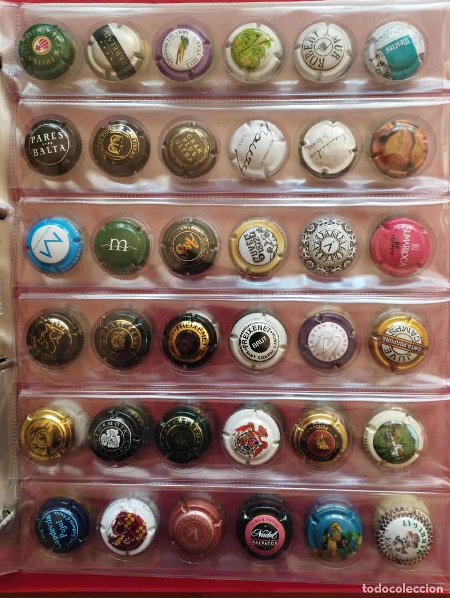 Coleccionismo de cava: Alb&uacute;m 252 Chapas Cava diferentes - Foto 5