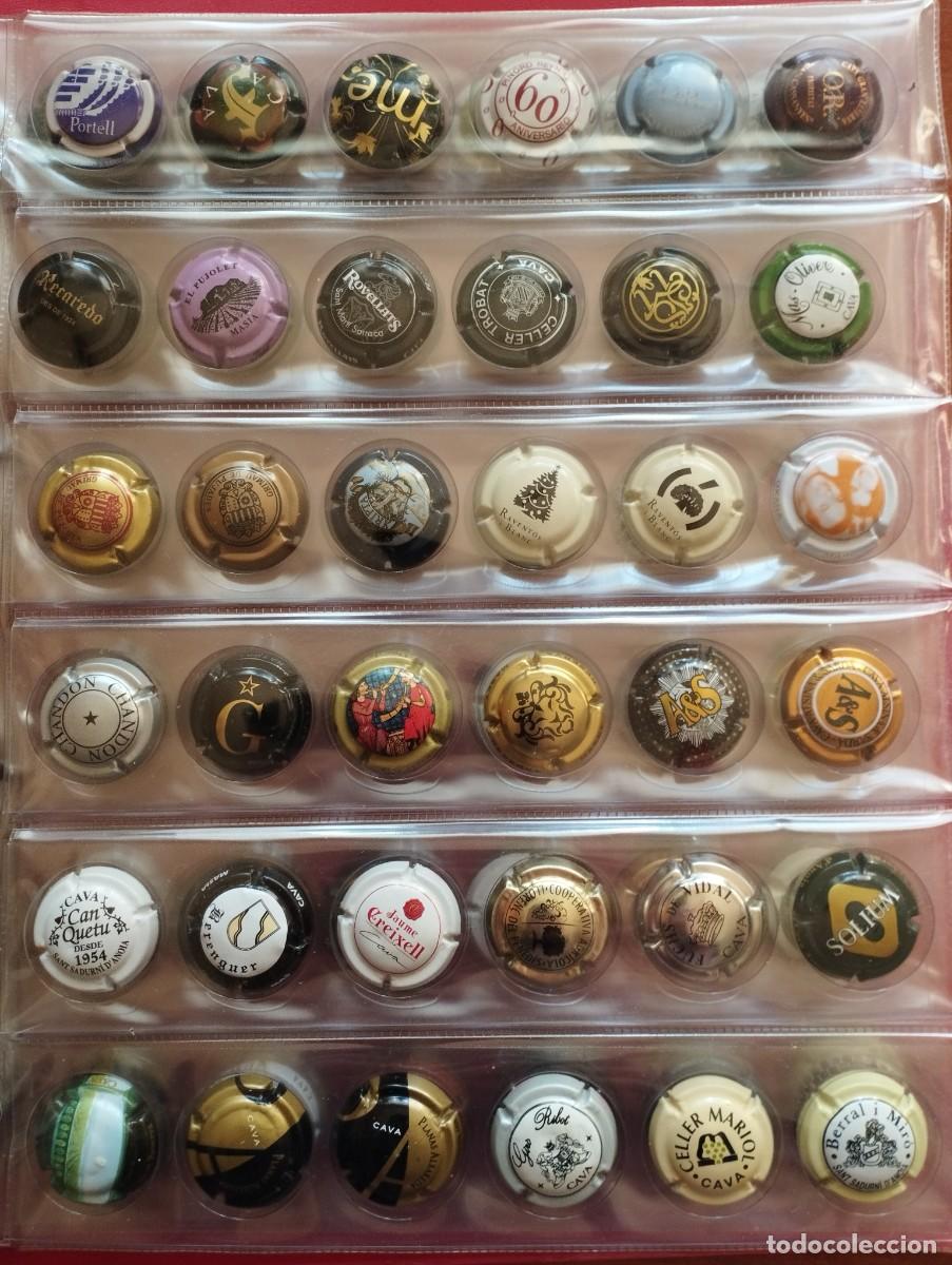 Coleccionismo de cava: Alb&uacute;m 252 Chapas Cava diferentes - Foto 6