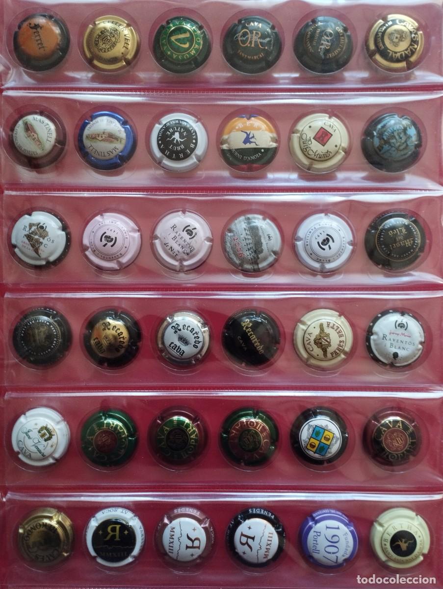 Coleccionismo de cava: Alb&uacute;m 252 Chapas Cava diferentes - Foto 7