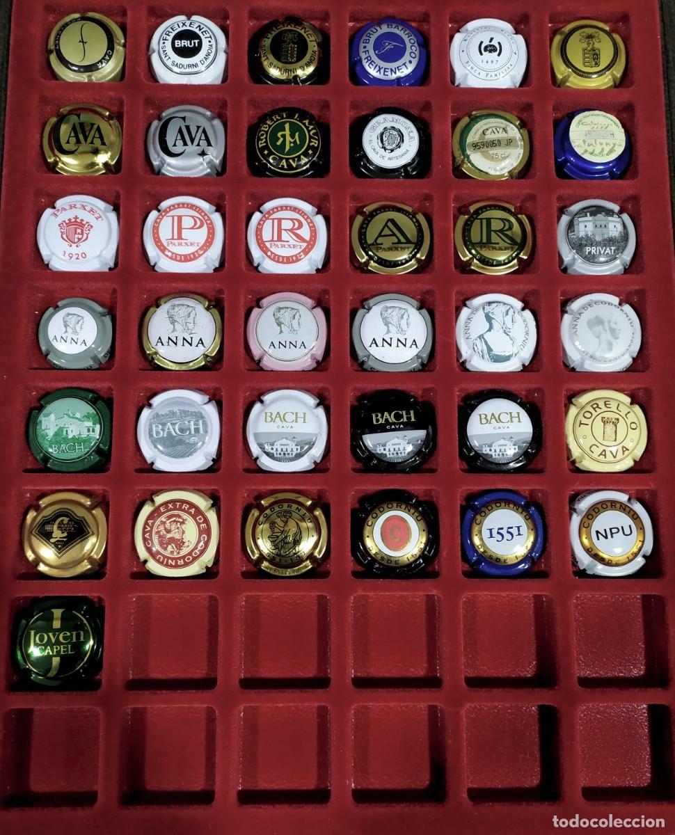 Coleccionismo de cava: GRAN LOTE DE CHAPAS DE CAVA - Foto 2