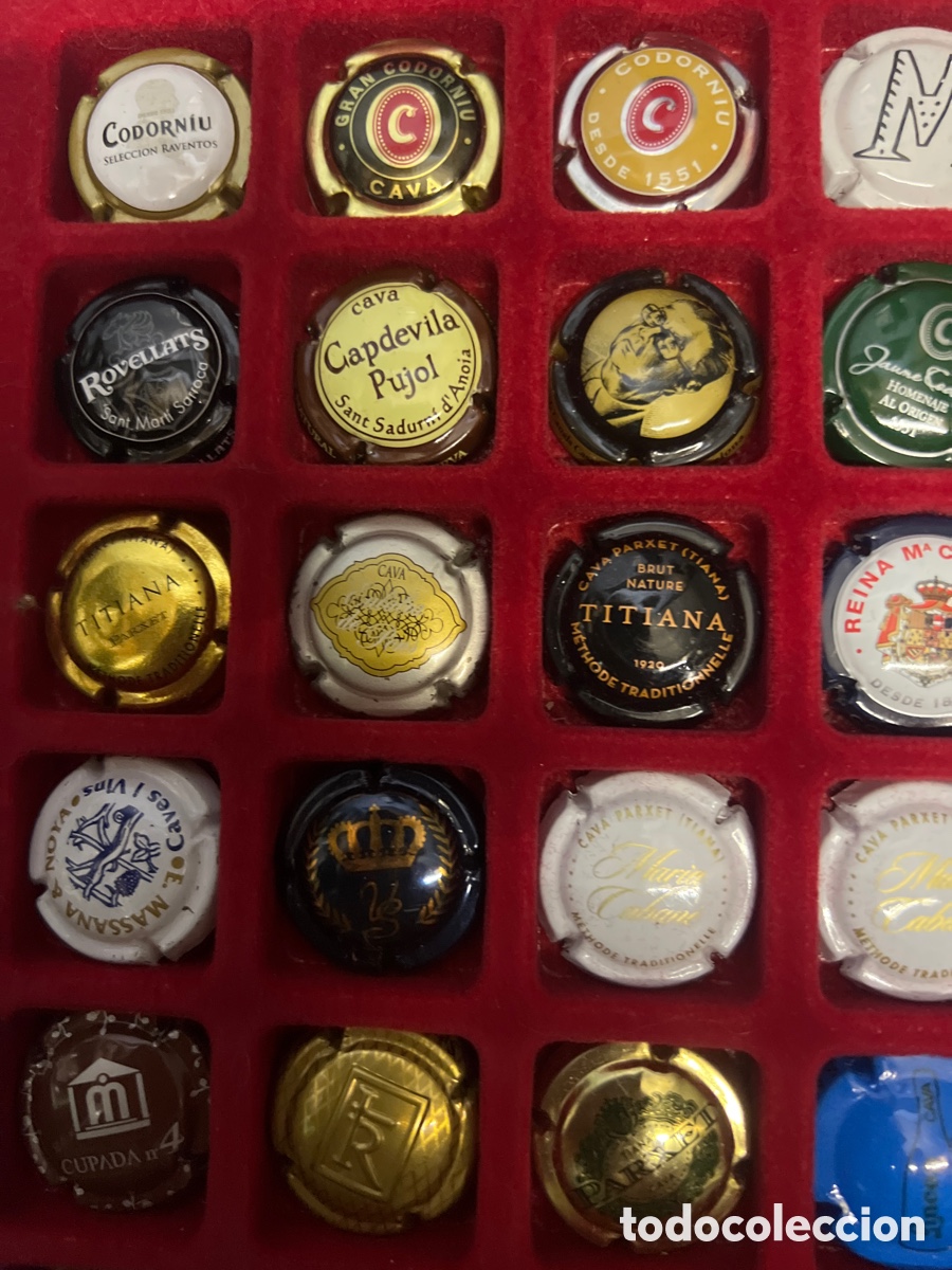 Coleccionismo de cava: T4/X2A. 48 PLACAS DE CAVA - Foto 2