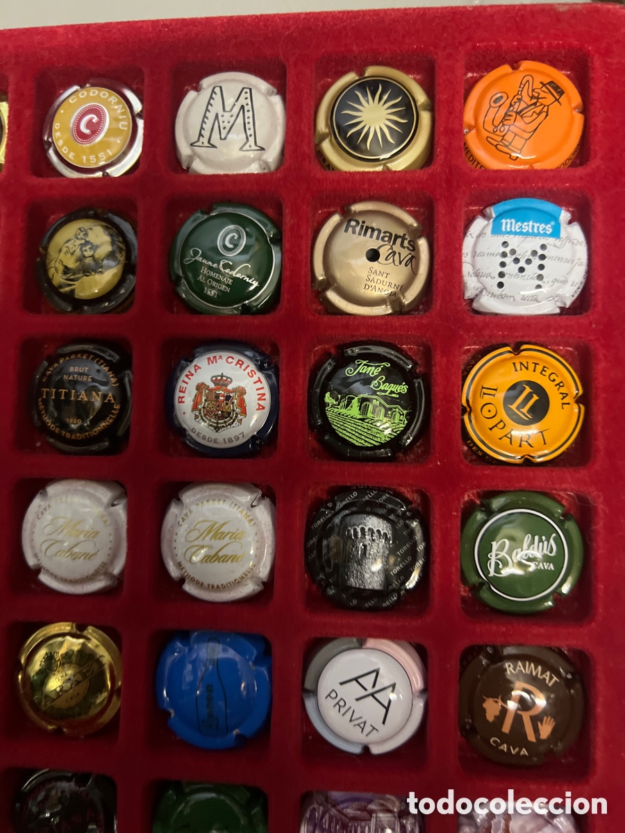 Coleccionismo de cava: T4/X2A. 48 PLACAS DE CAVA - Foto 3